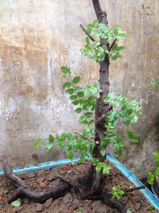 QQͼƬ20130907173306.jpg