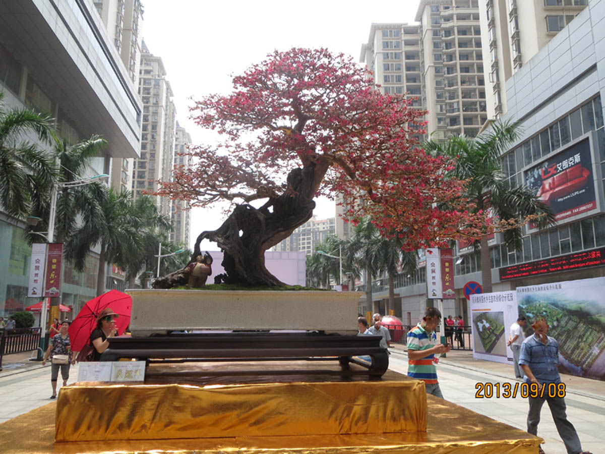 Ƭ 064.jpg