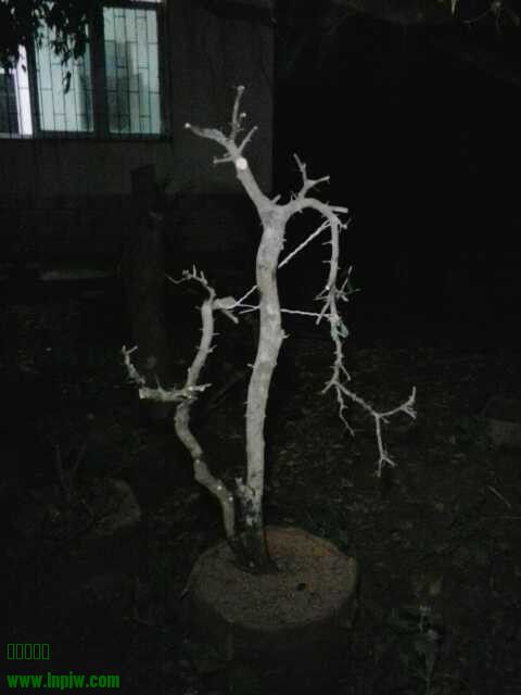 QQͼƬ20130914235007.jpg