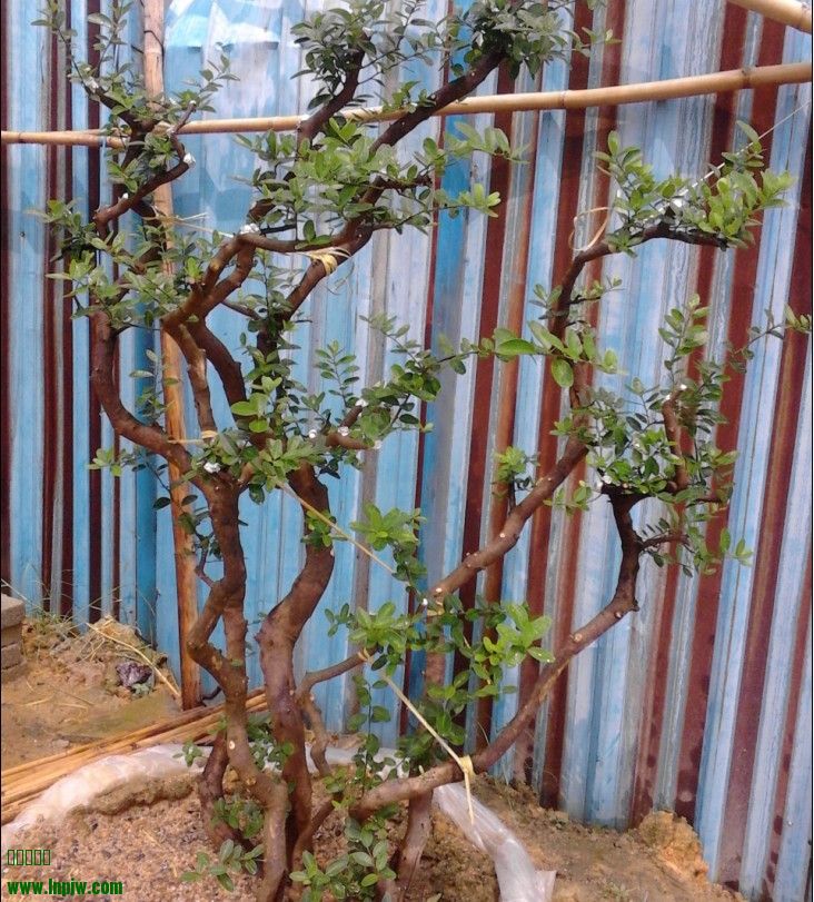 QQͼƬ20130915011316.jpg