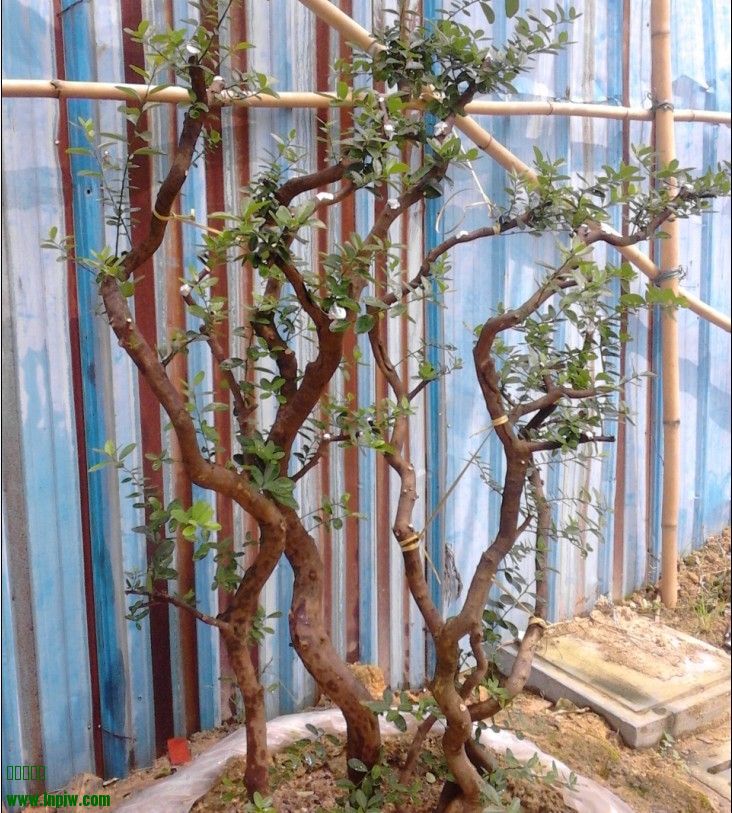 QQͼƬ20130915011359.jpg