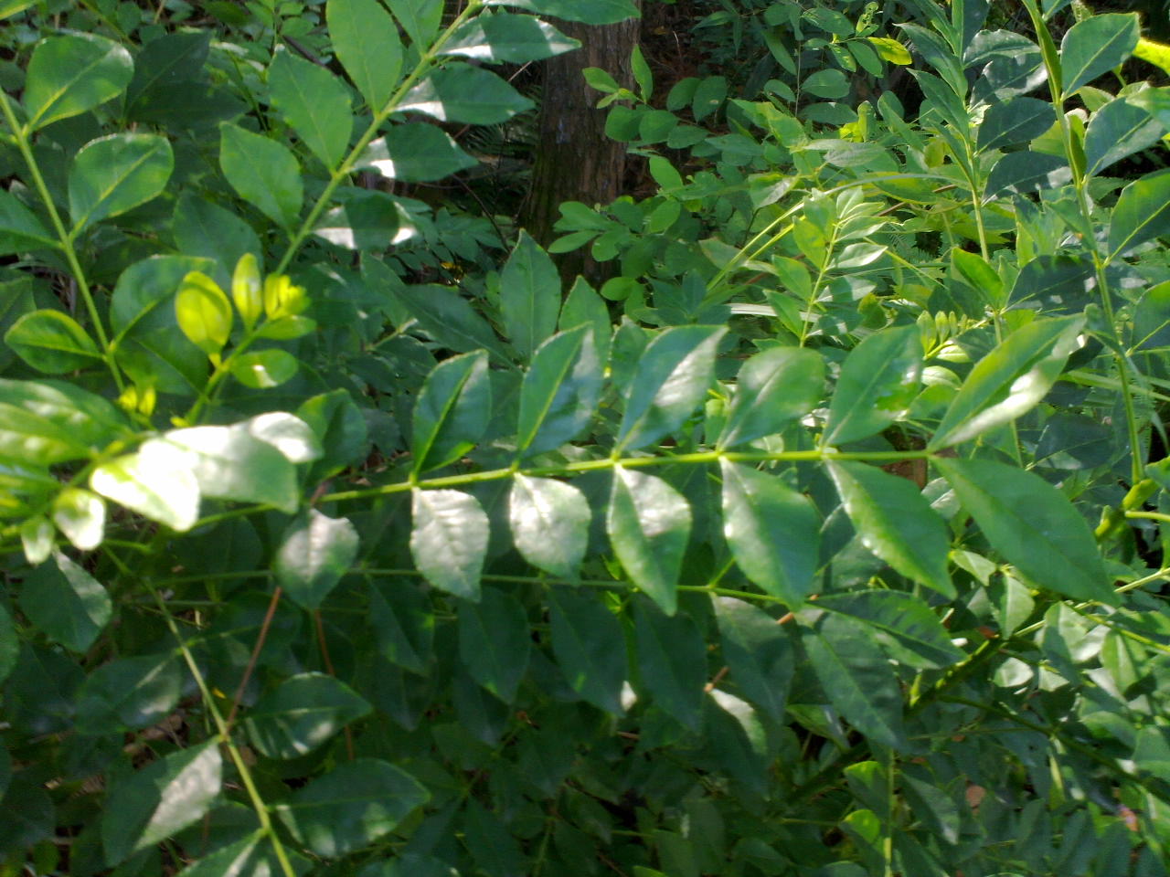 20130916996.jpg
