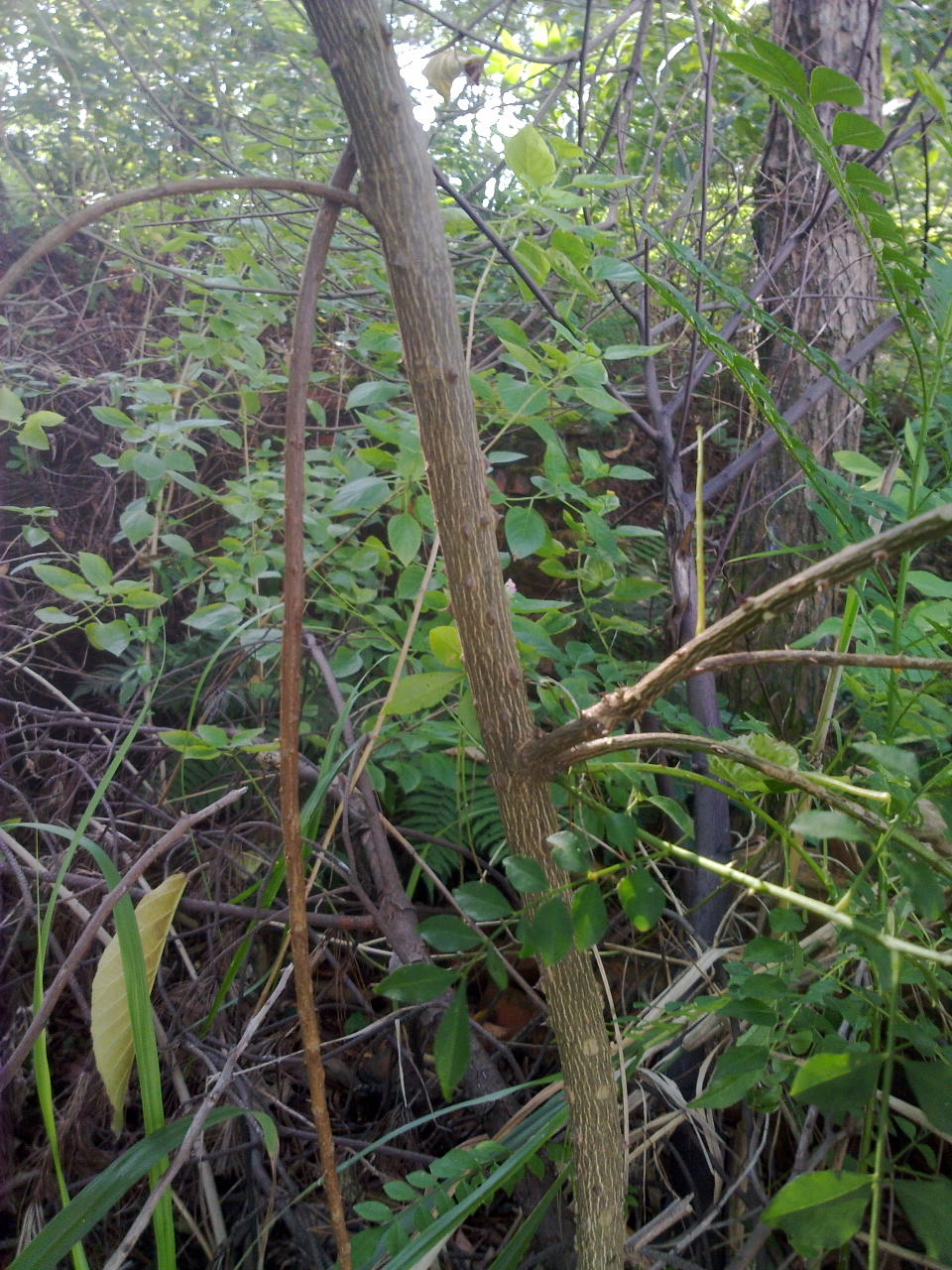 20130916998.jpg