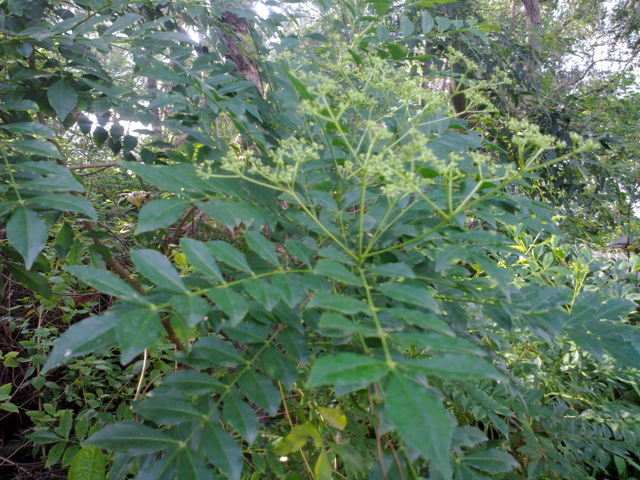 201309161000.jpg