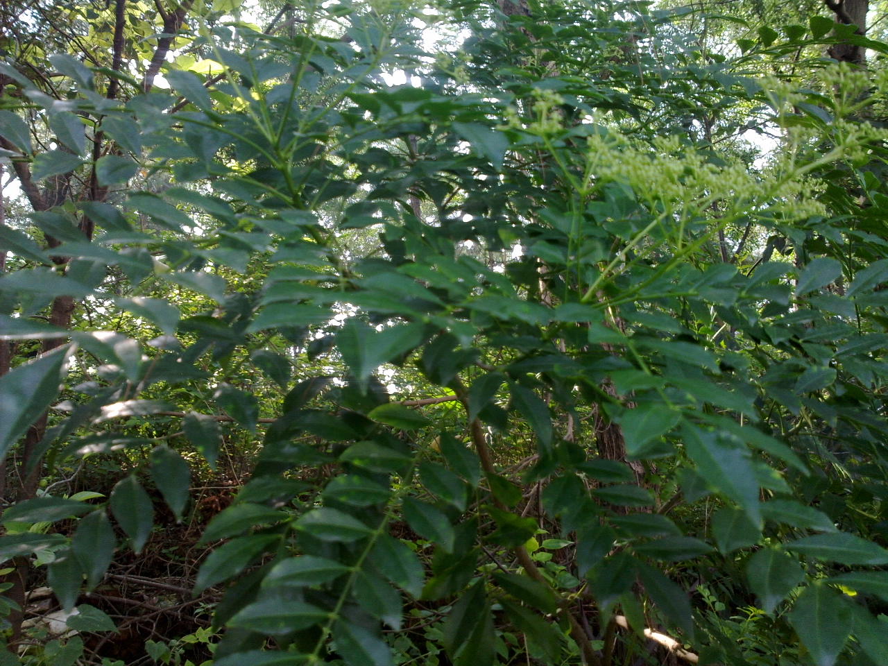 20130916999.jpg