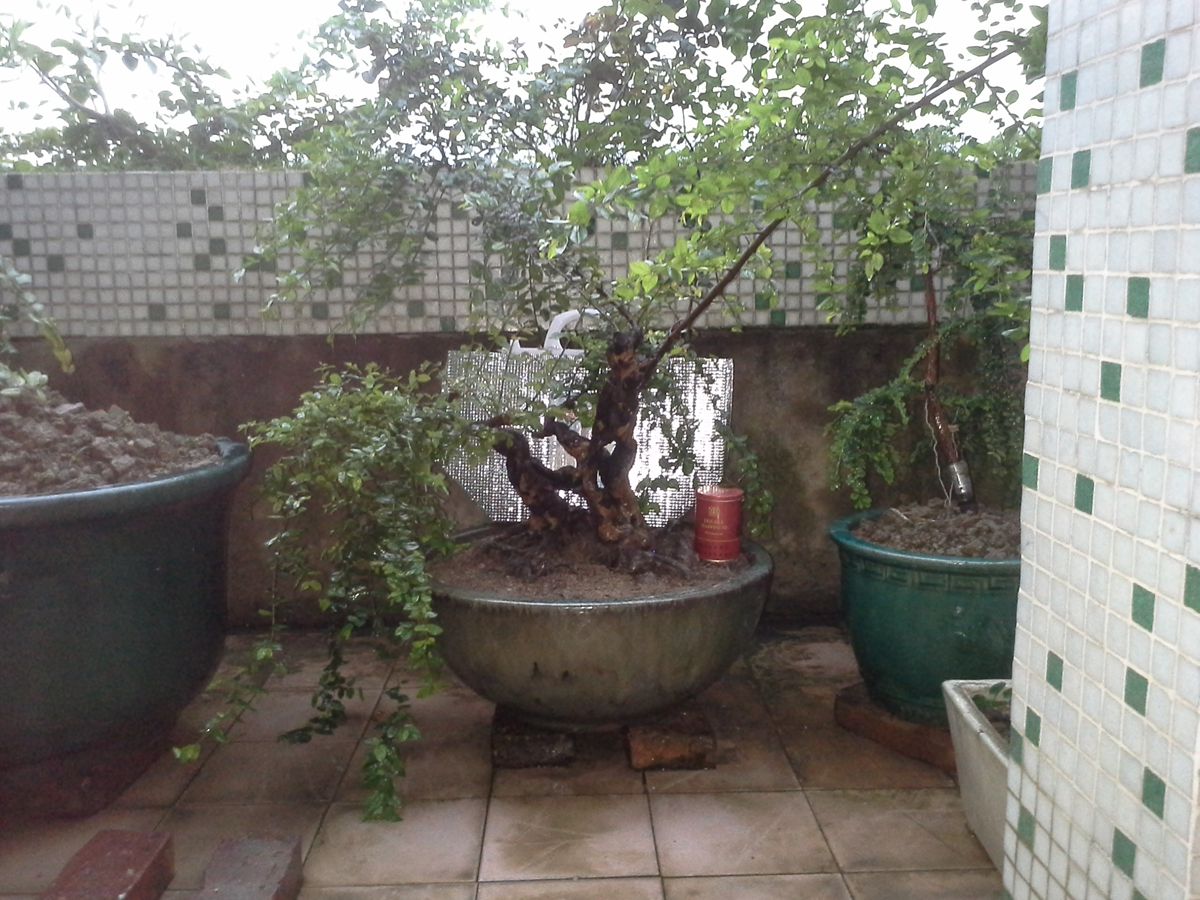 20130907_183210.jpg