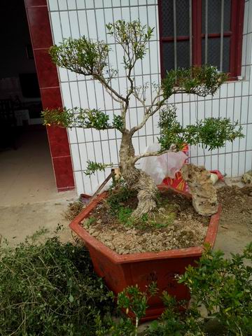 С IMG_20130512_145317.jpg