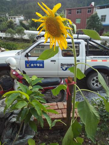 С IMG_20130702_181219.jpg