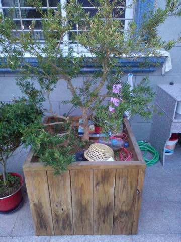 С IMG_20130703_190451.jpg