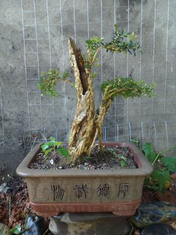 С IMG_20130712_074452.jpg