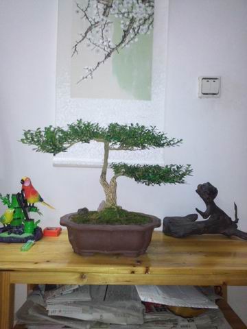 С IMG_20130721_205553.jpg