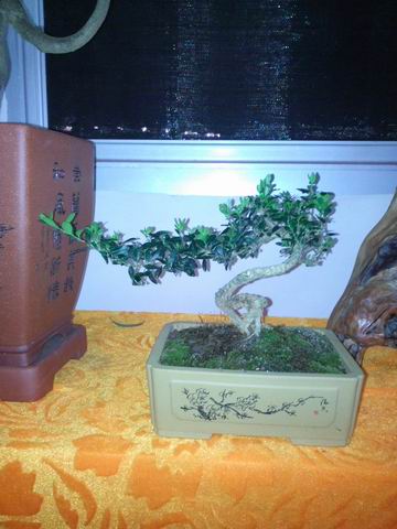 С IMG_20130721_205612.jpg