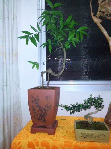 С IMG_20130721_205617.jpg