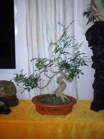 С IMG_20130721_205627.jpg