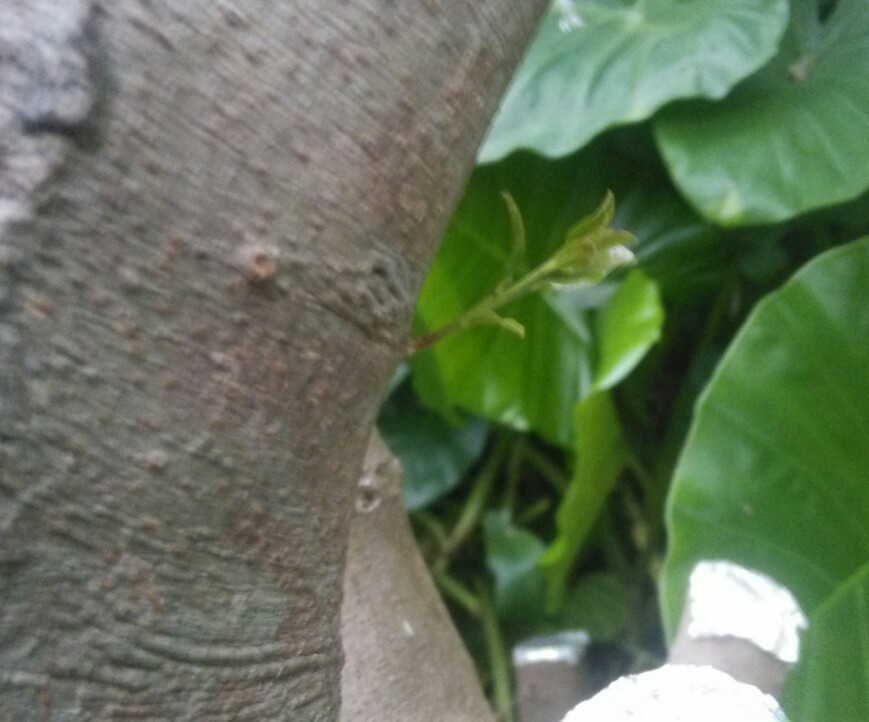 IMG_20130918_181050-1.jpg