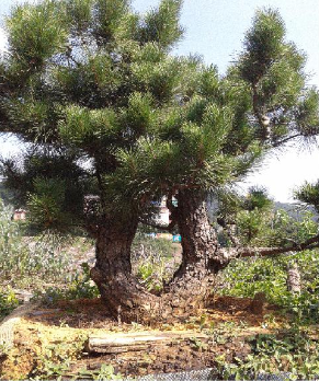 QQͼ20130918193823.png