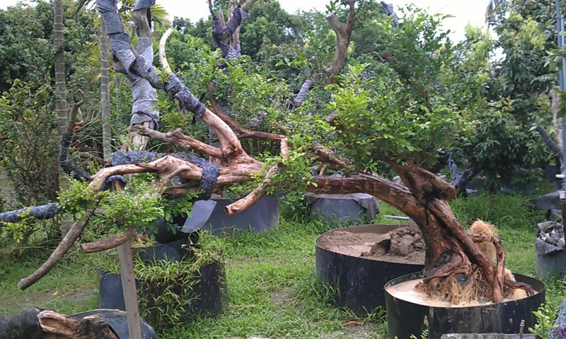 12-29BE05AC-400267-800.jpg