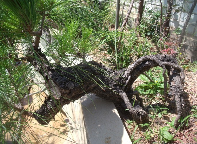 QQͼƬ20130925073121.jpg
