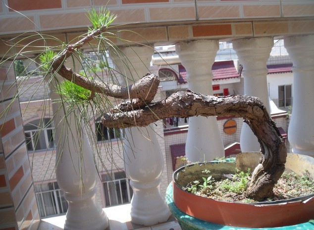 QQͼƬ20130925073453.jpg