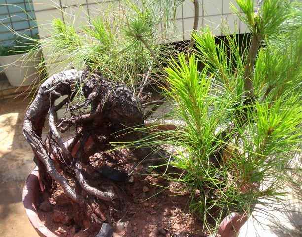 QQͼƬ20130925073613.jpg