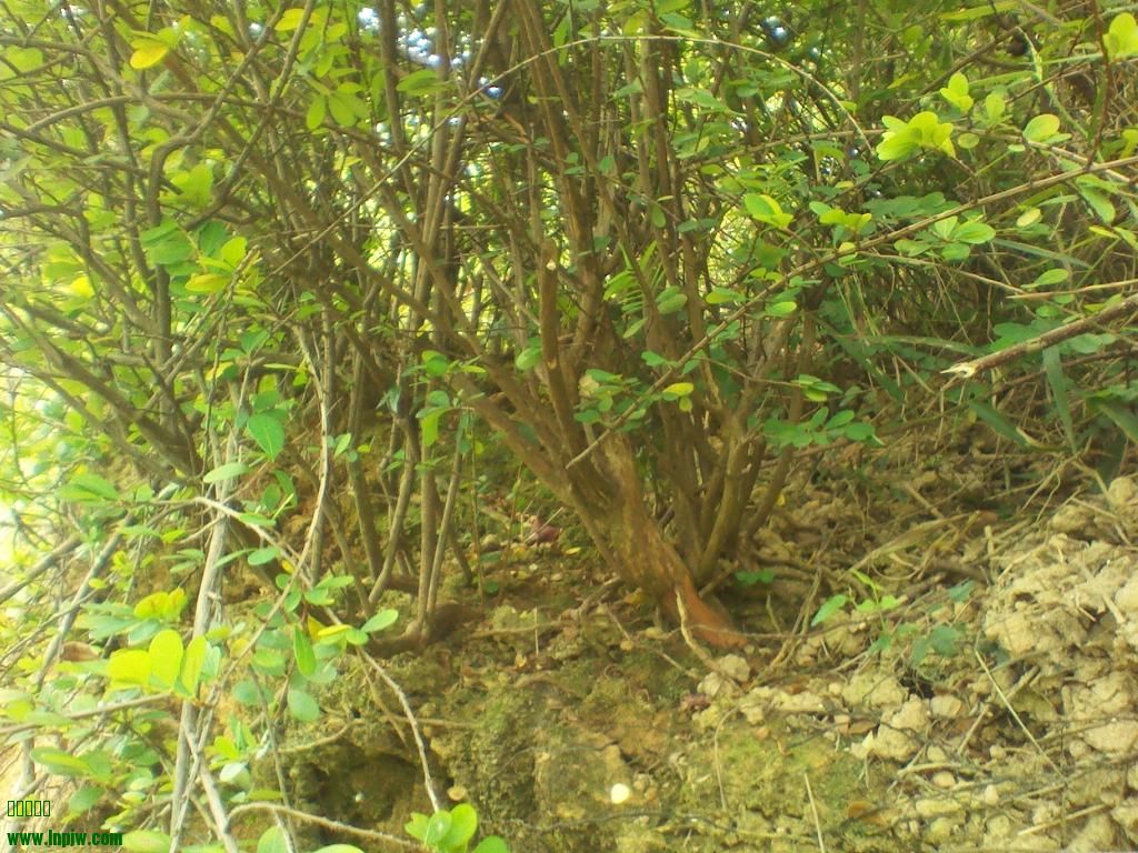 IMG_20130925_113509.jpg