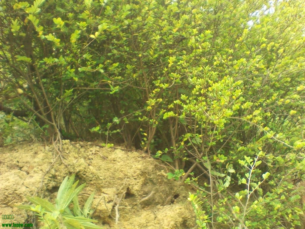 IMG_20130925_113531.jpg