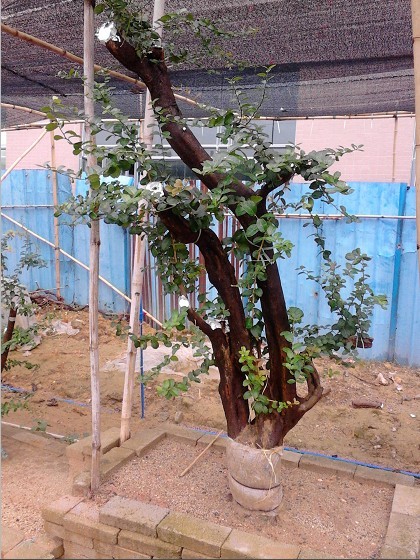 QQͼƬ20130828235450.jpg