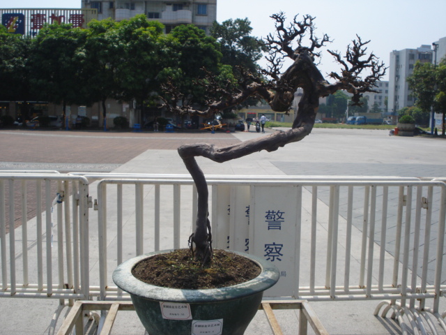 DSC01163.JPG