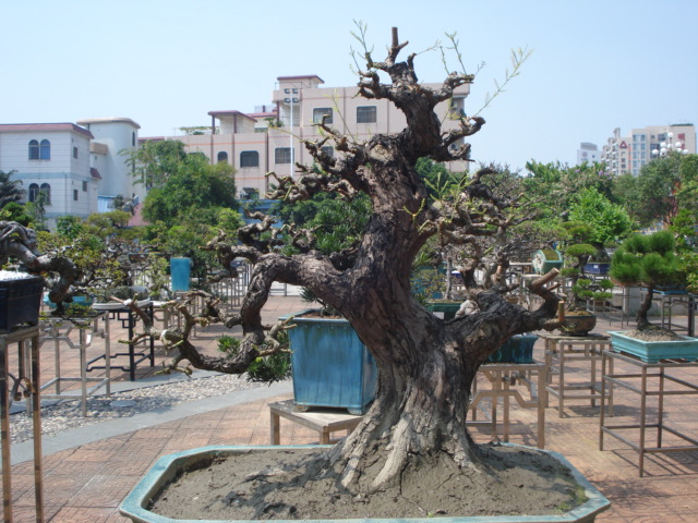 DSC01166.JPG