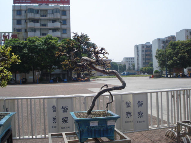 DSC01169.JPG