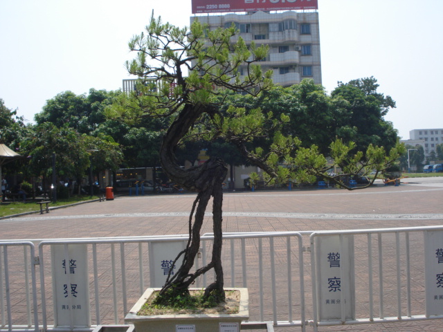 DSC01171.JPG