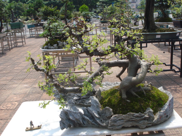 DSC01202.JPG