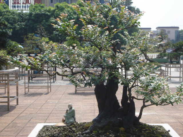 DSC01205.JPG