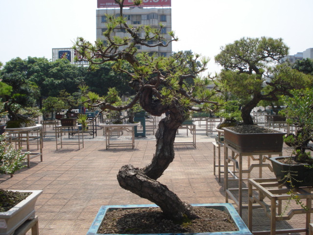 DSC01206.JPG