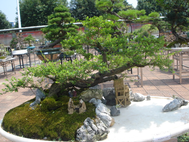 DSC01207.JPG