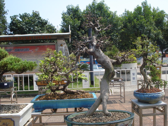 DSC01209.JPG