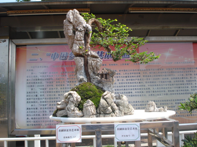 DSC01213.JPG