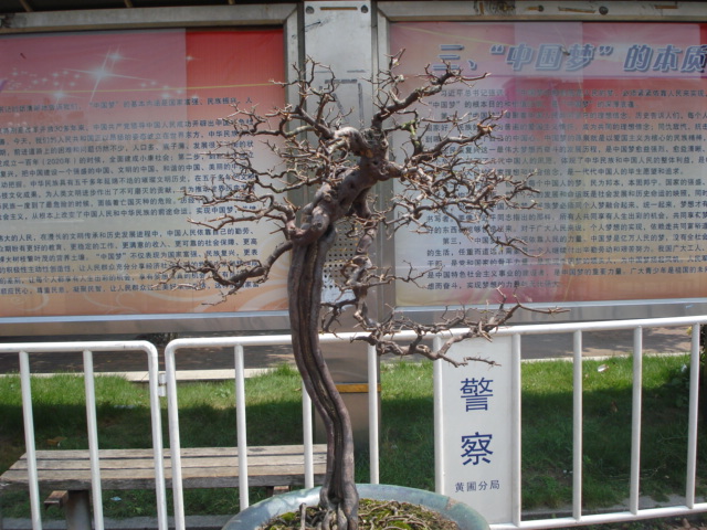 DSC01215.JPG