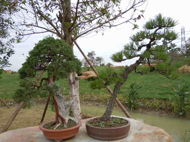 SSCN1792.JPG