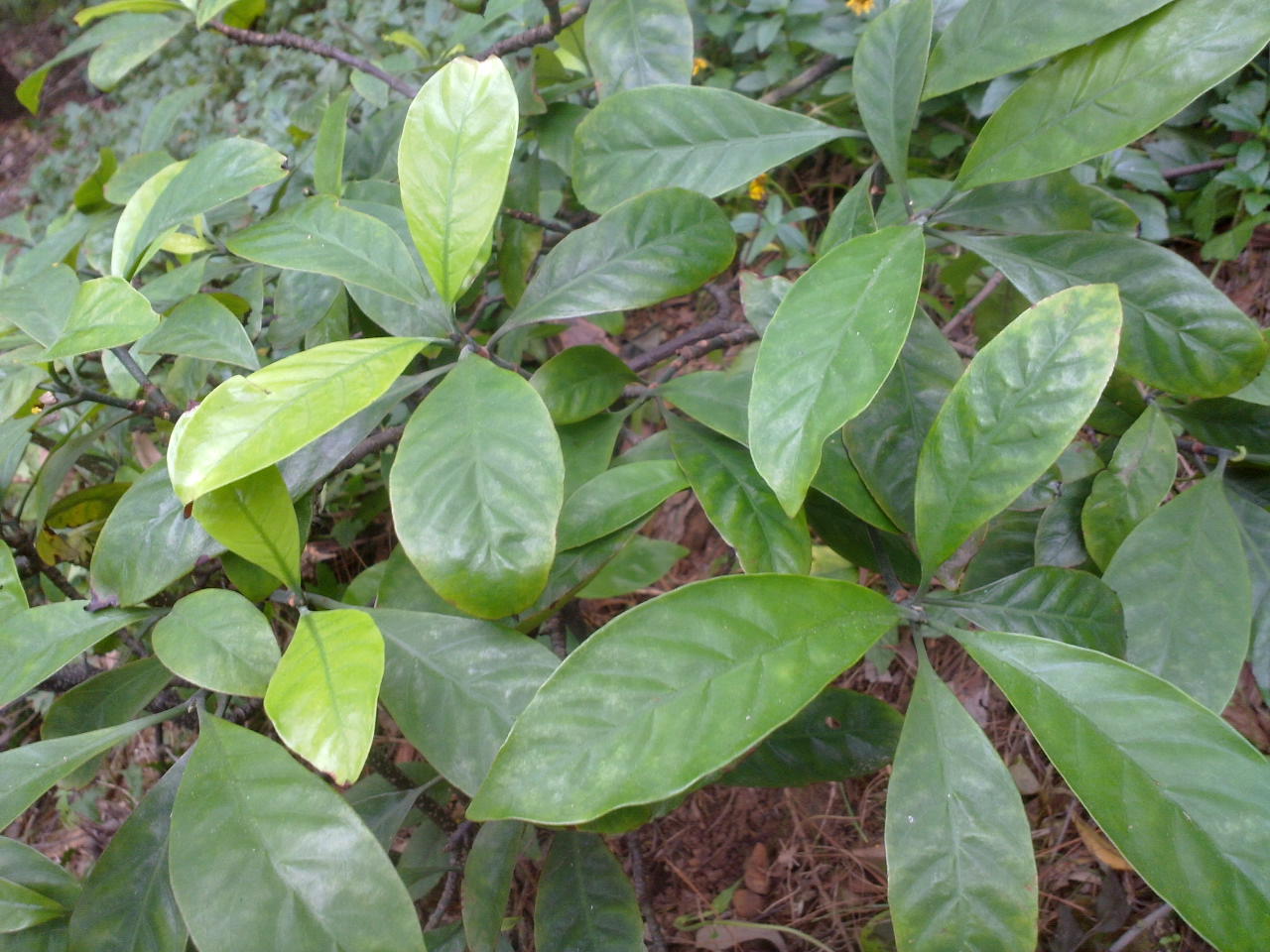 201309281040.jpg