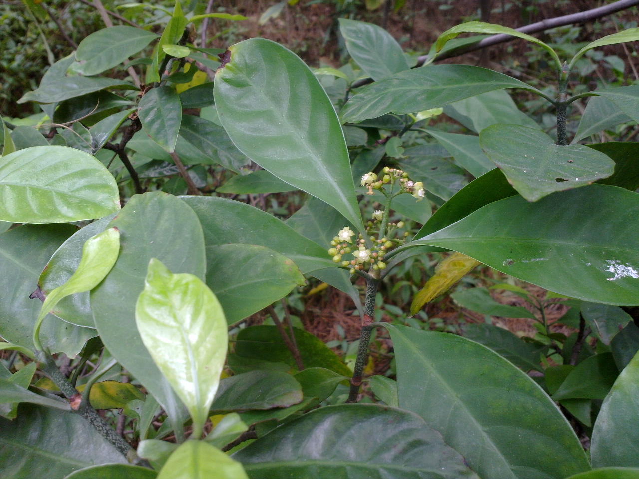 201309281055.jpg