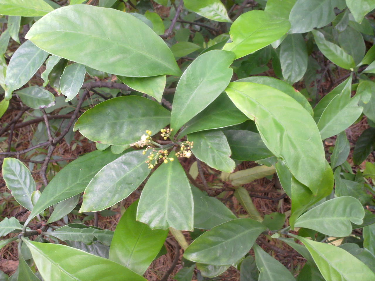 201309281056.jpg