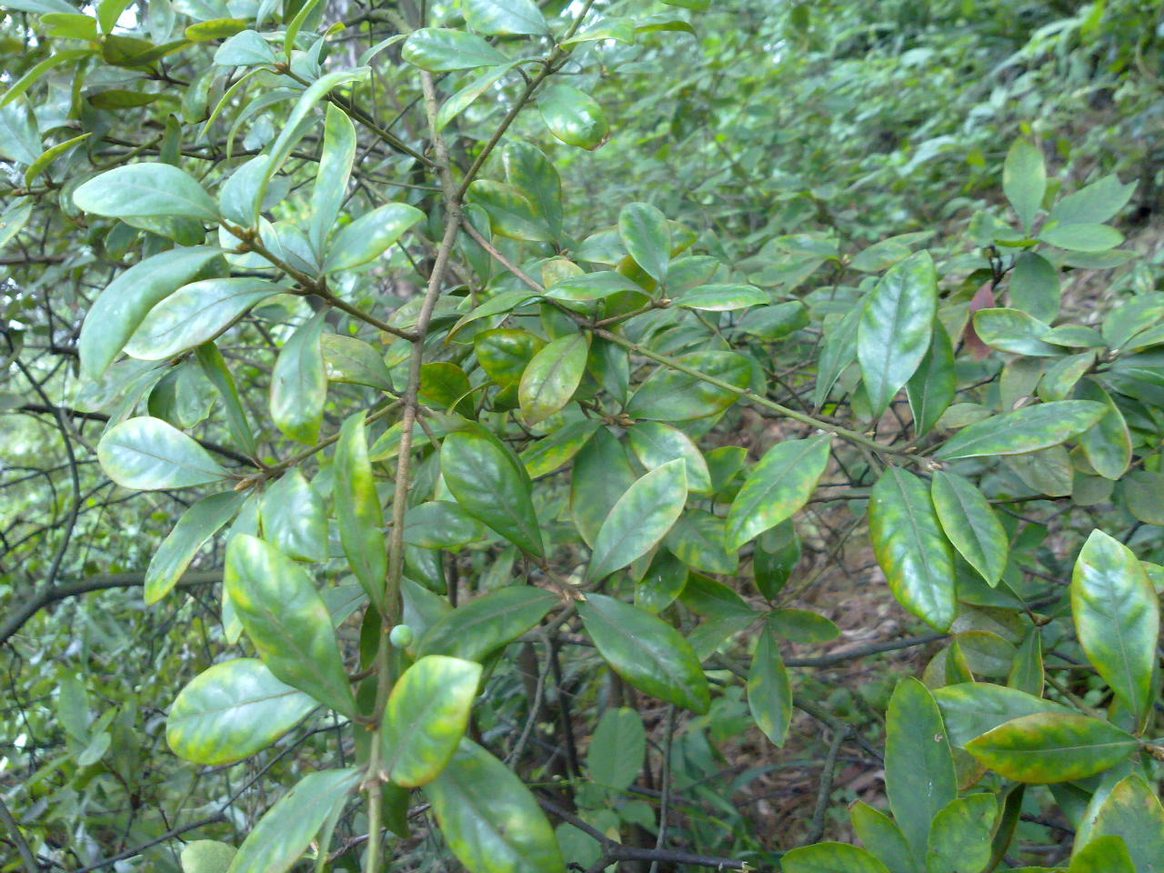 201309281047.jpg