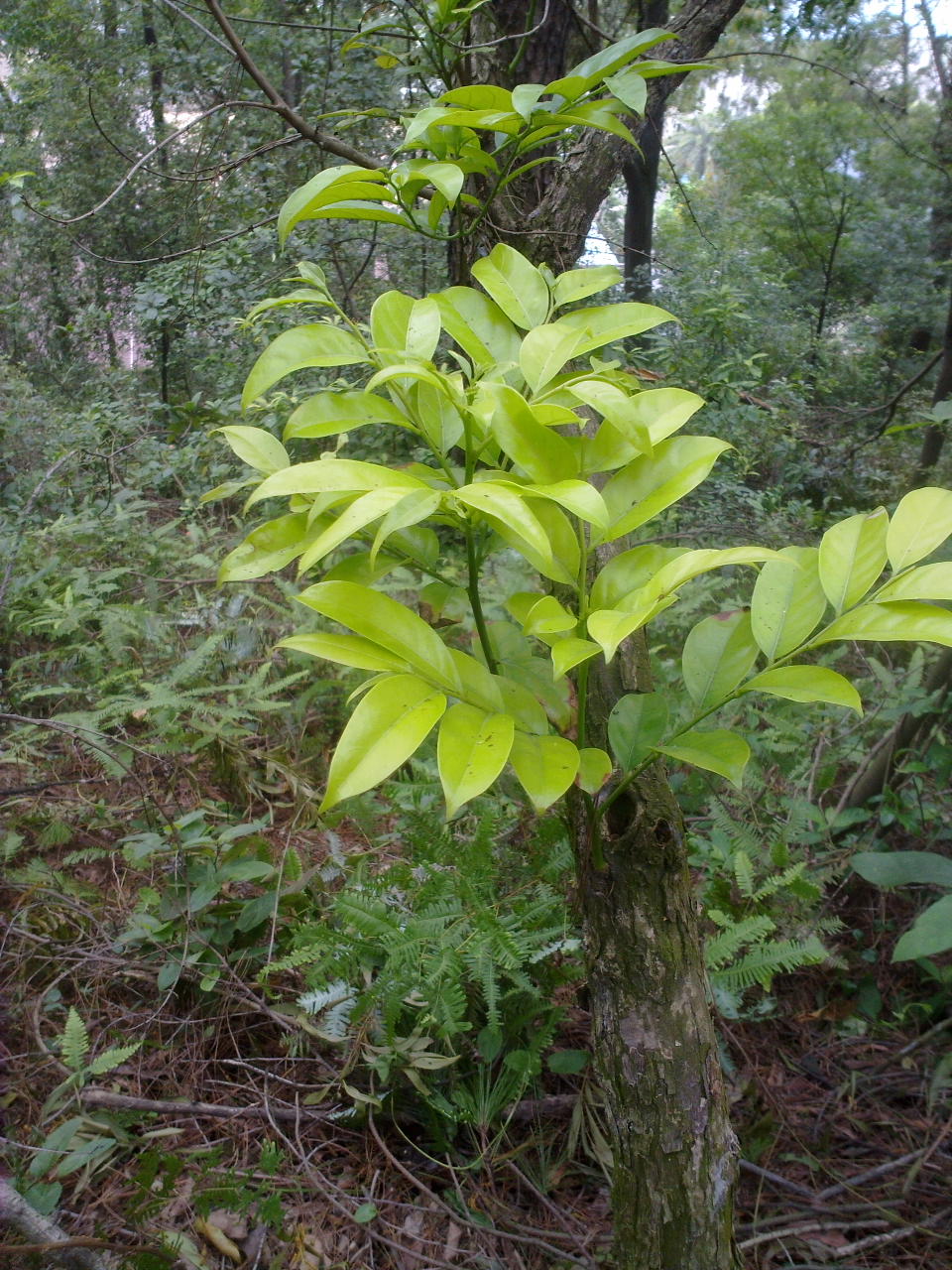 201309281057.jpg