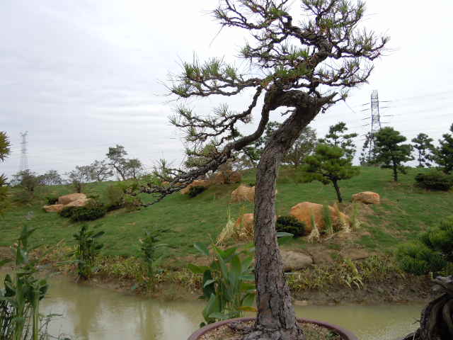 SSCN1791.JPG