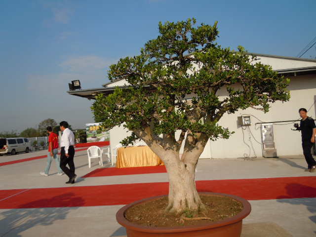 SSCN1852.JPG