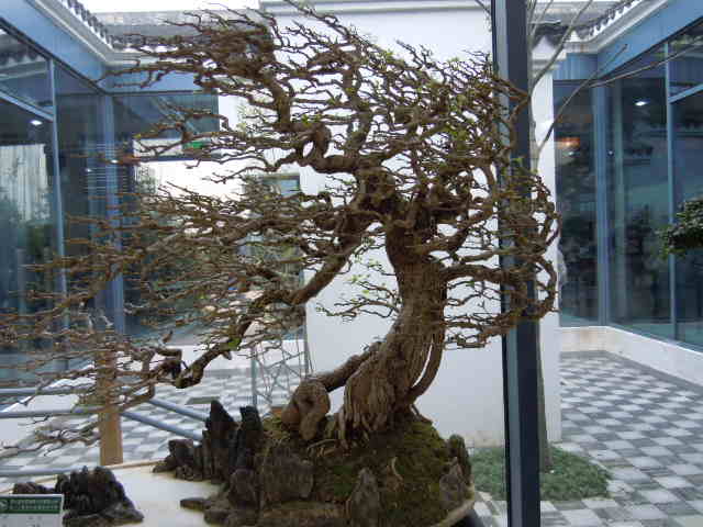 SSCN1900.JPG