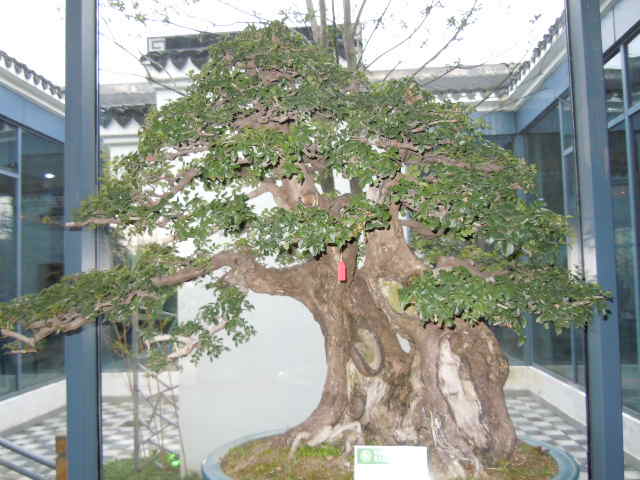 SSCN1901.JPG