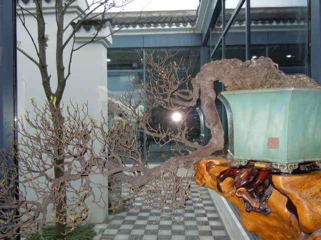 SSCN1902.JPG