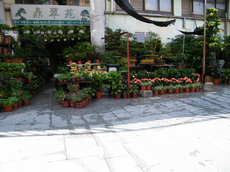 DSCF1281.JPG